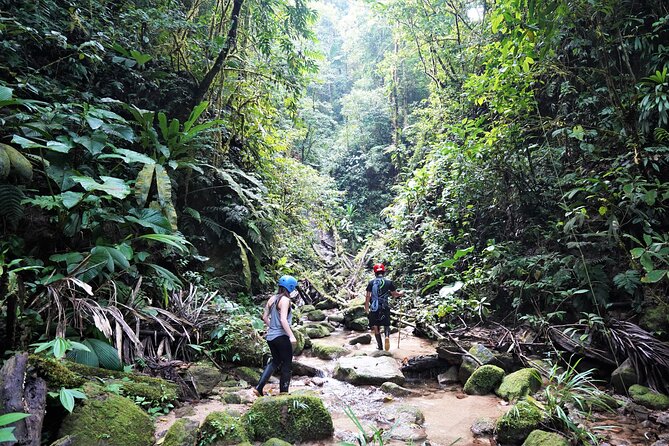 Private Active 4 Day Amazon Adventure - Itinerary for the 4-Day Expedition