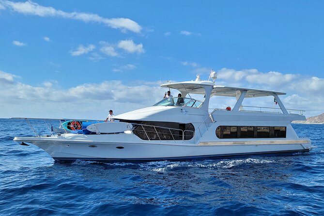 Private Activity Luxury All Inclusive 75 Ft Yacht in Mexico - Booking and Accessibility