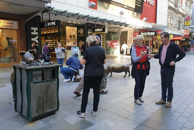 Private Adelaide Walking Tour - Why This Tour Might Be Perfect for You