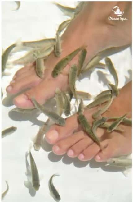 Private: Adults-Only Floating Ocean Spa with Massage & Yoga - What to Expect from the Floating Spa Experience