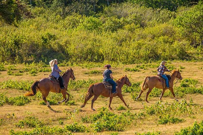Private Advanced Trail Ride - Pricing and Booking