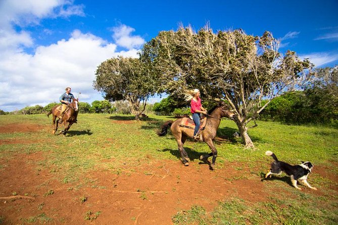 Private Advanced Trail Ride - Overview