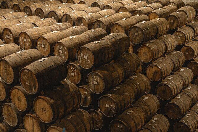 Private Adventure Day Tour to Tequila and Cazcanes Distillery - An In-Depth Look at the Itinerary