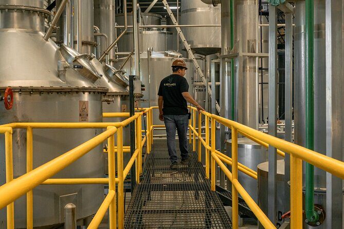 Private Adventure Day Tour to Tequila and Cazcanes Distillery - Who Should Consider This Tour?