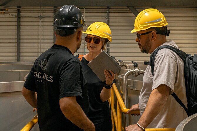 Private Adventure Day Tour to Tequila and Cazcanes Distillery - FAQ