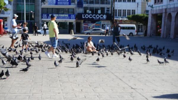 Private Adventure in Mazatlan - Frequently Asked Questions