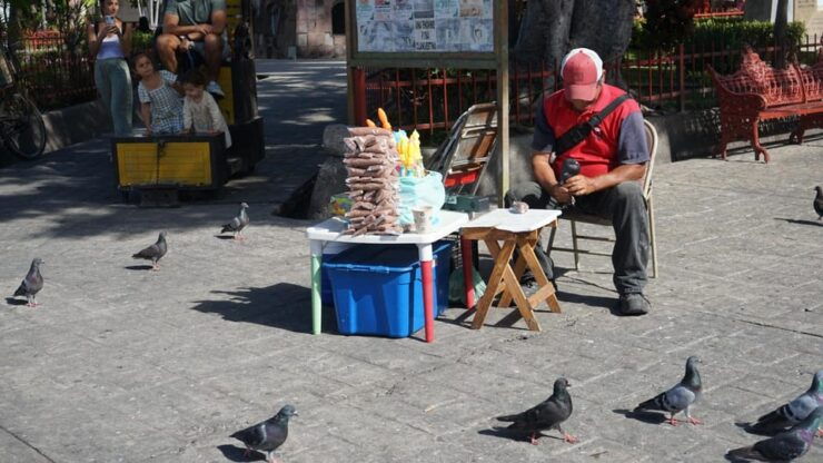 Private Adventure in Mazatlan - Good To Know