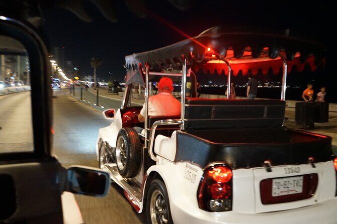 "Private Adventure in Pneumonia by Mazatlan" - The Value of This Tour