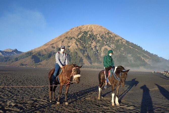 Private Adventure King Kong Hill Bromo National Park in Malang - Tour Itinerary