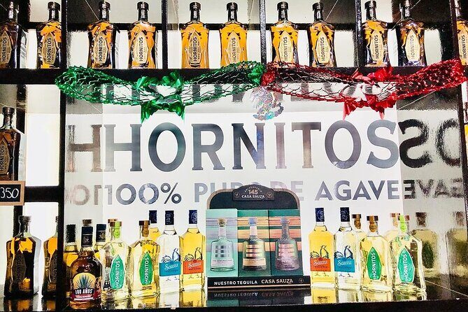 Private Adventure to Casa Sauza Distillery and Visit to Tequila - Final Thoughts