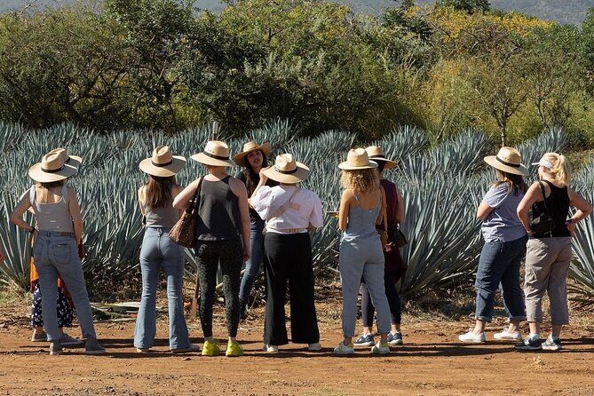 Private Adventure to El Tequileño Distillery and visit to Tequila - FAQ