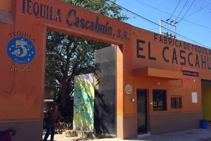Private Adventure to Tequila and el Cascahuin Distillery - Who Should Book This Tour?