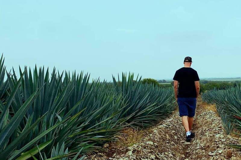 Private Adventure to Tequila and la Fortaleza Distillery - Who Would Love This Experience?