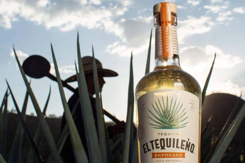 Private Adventure to Tequila and Tequila El Tequileño - Final Thoughts