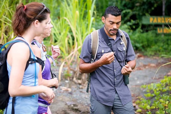 Private Adventure Tour in Corcovado Natural Park - Tour Highlights