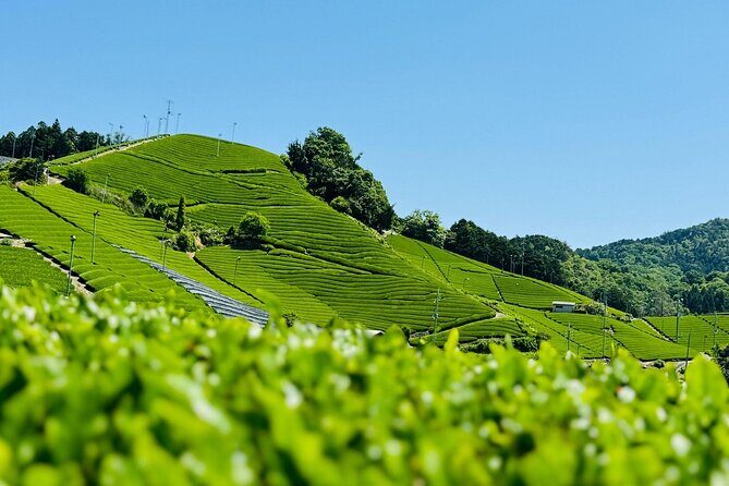 Private adventures into the hidden gems of greater Kyoto - Who Will Benefit Most from This Tour?