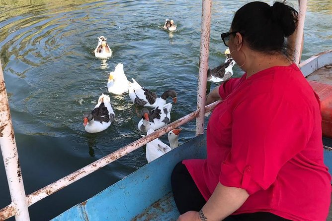 Private Africano Park Alexandria Safari From Cairo - Tour Highlights