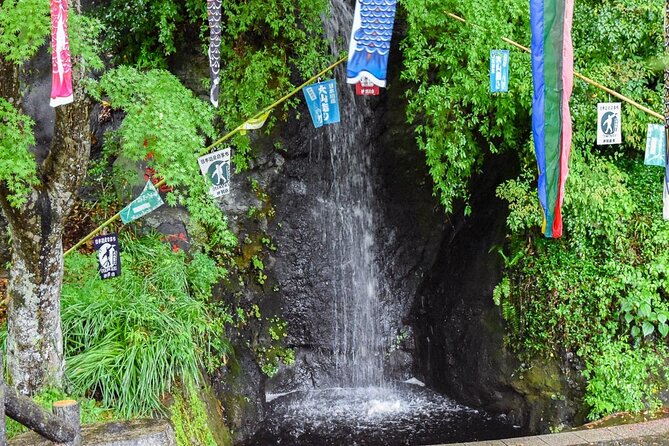 Private Afuri Shrine Pilgrimage Overnight Stay in Kanagawa - Shrine History and Significance