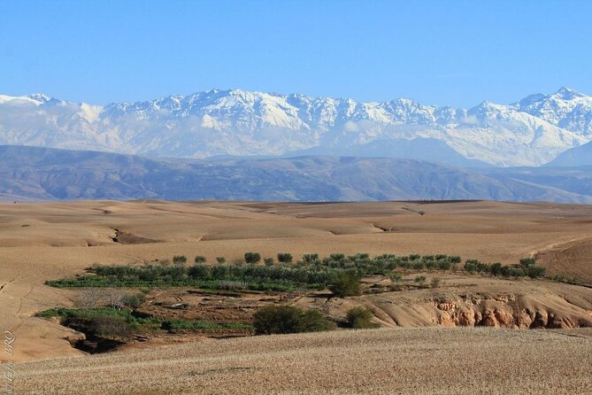 Private Agafay Desert and Atlas Mountains Tour - Pickup Details