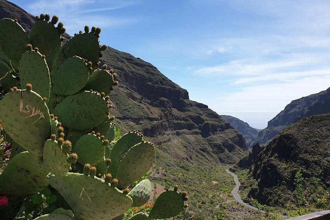Private Aguimes and Cave Town Tour From Las Palmas With Tapas Tasting - Tour Booking and Pricing