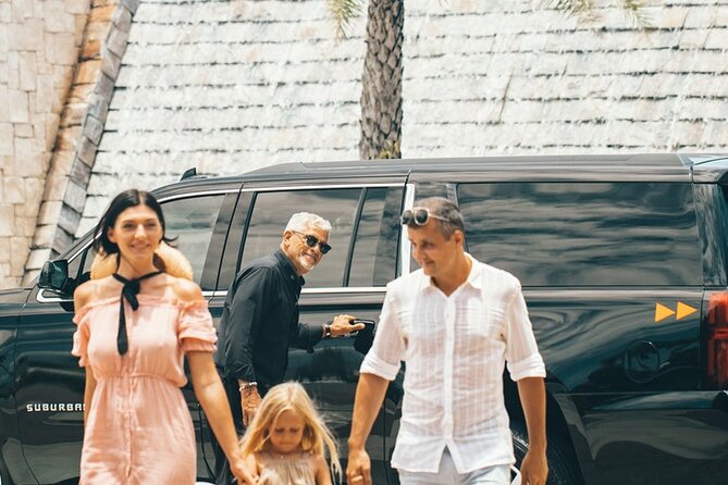 Private Airport Punta Cana to La Romana Bayahibe or Casa De Campo Resort Area - Whats Included