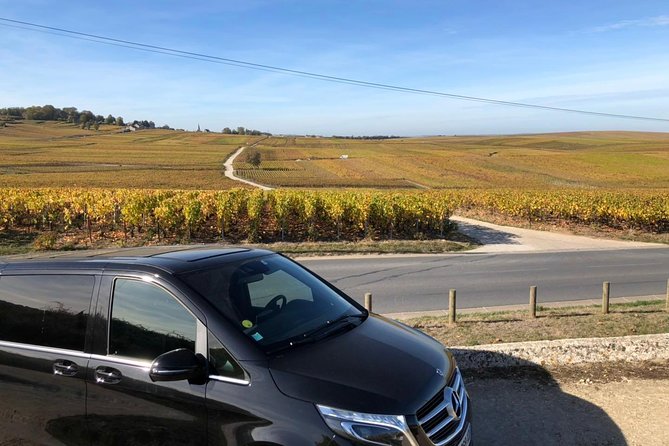Private Airport Shuttle in Champagne (Group Price) - Group Pricing Options