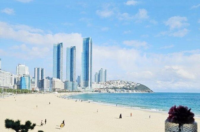 Private Airport, Train Station & Hotel Transfer Service in Busan - The Sum Up