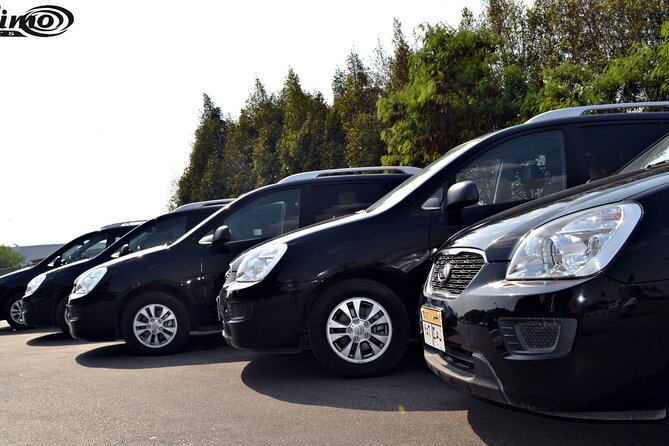 Private Airport Transfer: Cairo Airport Transfer to Anywhere in Cairo - Pricing and Guarantee