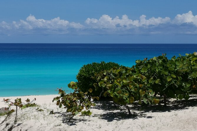 Private Airport Transfer Cancun - Playa Del Carmen up to 7 Pax OW - Operating Hours and Time Confirmation