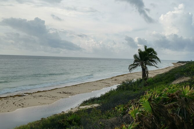 Private Airport Transfer Cancun - Playa Del Carmen up to 7 Pax OW - Expectations and Accessibility