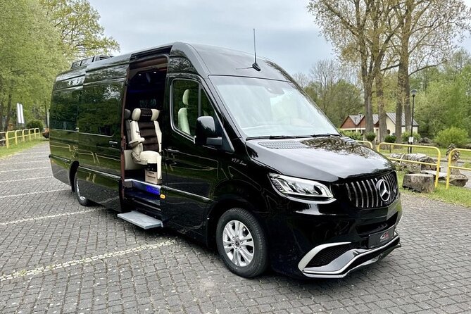 Private Airport Transfer (Fiumicino Airport to Rome Hotel) - Accessibility and Requirements