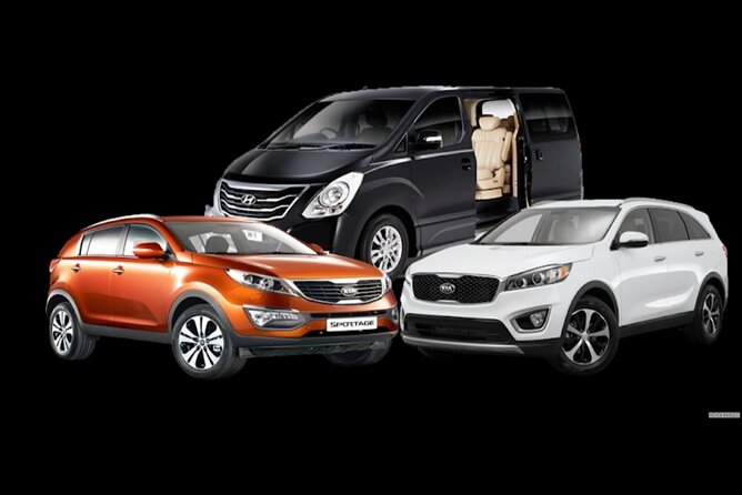 Private Airport Transfer From Essaouira to Essaouira (For 1 to 4 People) - Traveler Requirements and Accessibility