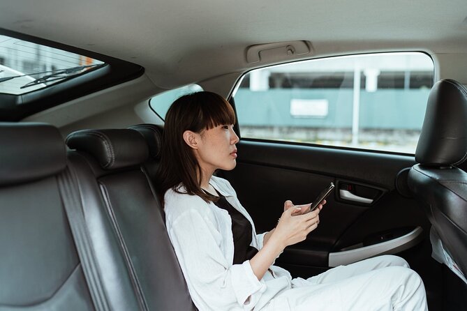 Private Airport Transfer From Narita Airport to Tokyo - Availability of Infant Seats