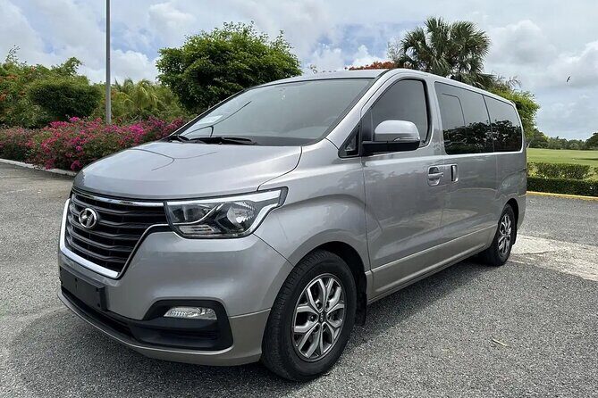 Private Airport Transfer from Punta Cana and Miches Dom Rep - The Sum Up