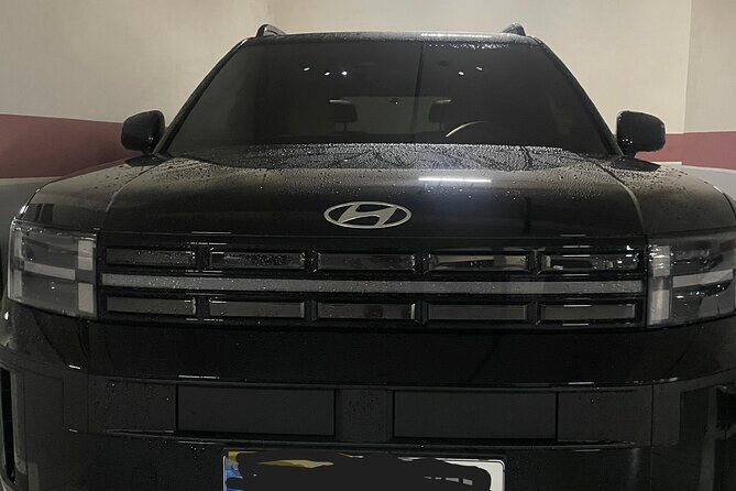 Private Airport Transfer from/to Incheon Airport to/from Seoul - Good To Know