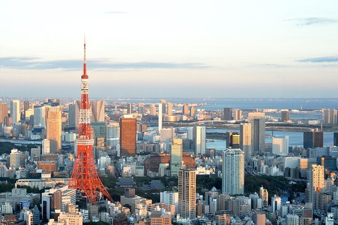 Private Airport Transfer Haneda Airport(Hnd) to Tokyo City - Pricing and Guarantee