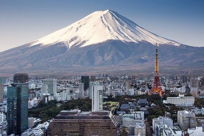 Private Airport Transfer Haneda Airport(Hnd) to Tokyo City - What to Expect