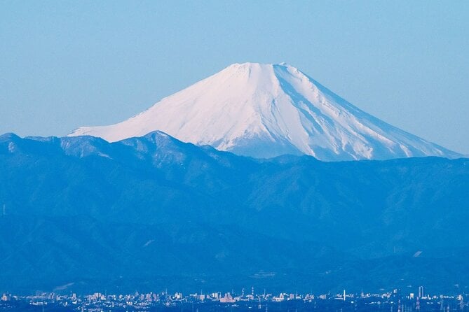 Private Airport Transfer Haneda Airport(Hnd) to Tokyo City - Cancellation Policy