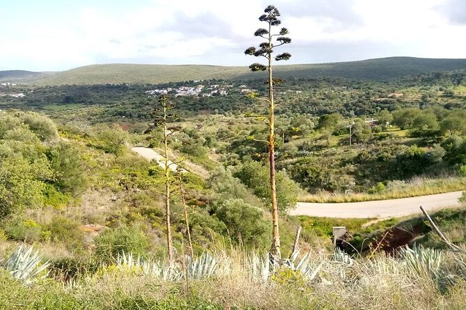 Private Airport Transfer To Armação De Pera Area - Price and Inclusions