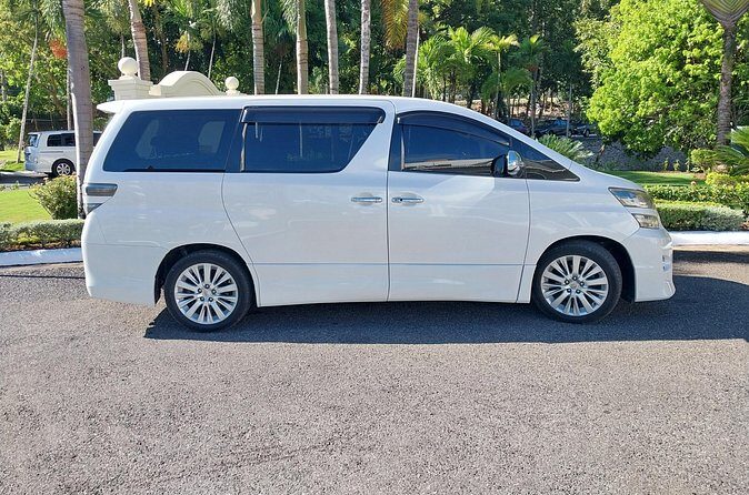 Private Airport Transfer to Hotel Riu Palace Aquarelle - Practical Aspects of the Transfer