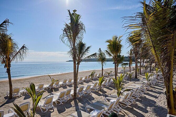 Private Airport Transfer to Hotel Riu Palace Aquarelle - Who Should Book This Transfer?