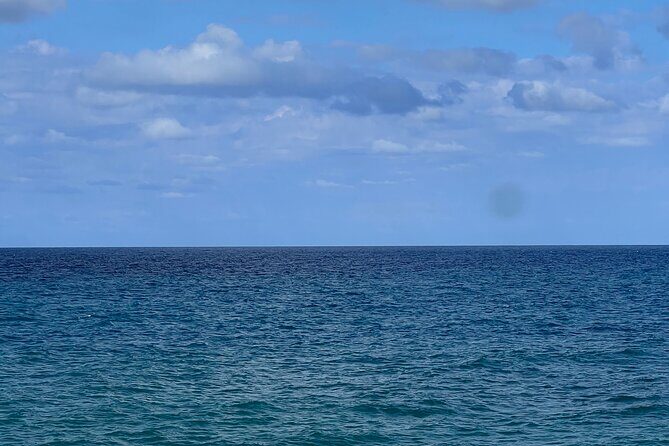 Private Airport Transfer to Hotels and Airbnb in Negril - Final Thoughts