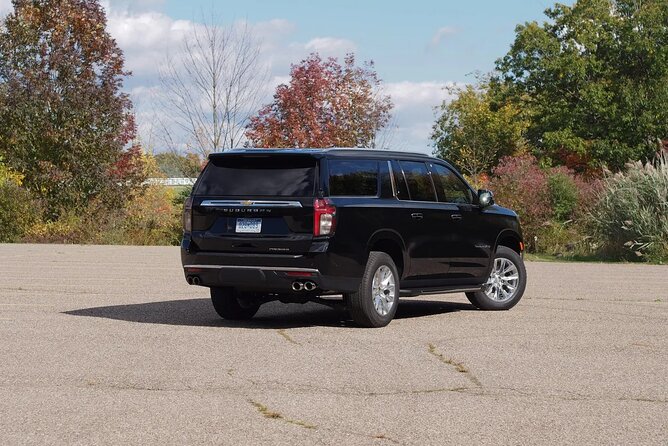 Private Airport Transfer to Hotels in Punta Cana or Vice Versa - Service Details
