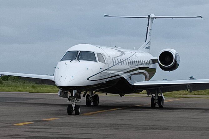 Private Airport Transfer To Mazatlan With Complementary Drinks - Who This Transfer Is Best For