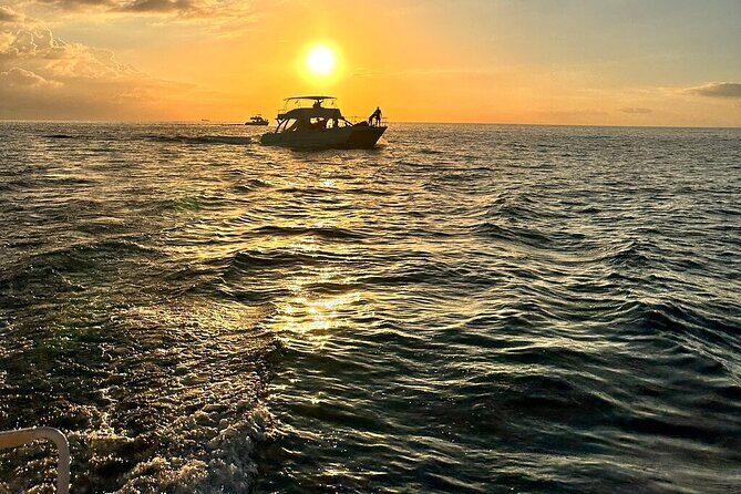 Private Airport Transfer to Royalton, Ocean Coral Spring & Excellence Oyster Bay - Final Thoughts