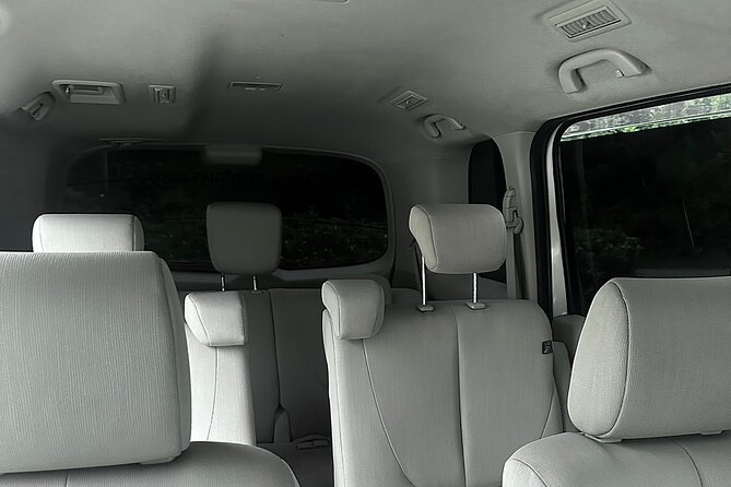 Private Airport Transfer to Trelwany Hotels in Jamaica  - Booking Information
