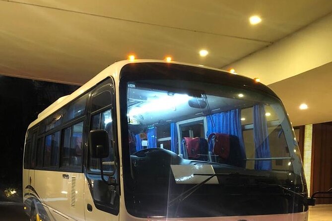 Private Airport Transfer to Trelwany Hotels in Jamaica  - Transfer Options