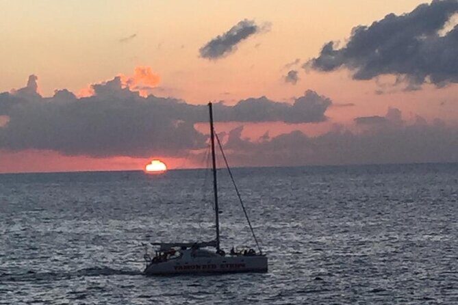 Private Airport Transfers To/From Hotels in Negril - Who Will Love This Service?