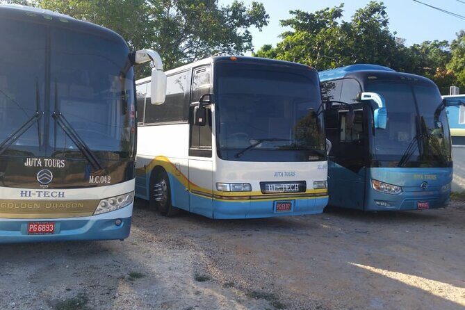 Private Airport Transfers To Negril Hotels and Villas - Good To Know