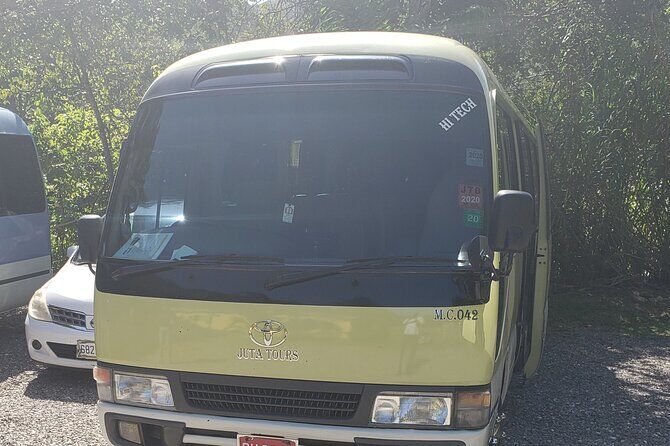 Private Airport Transfers To Negril Hotels and Villas - Pricing & Value: Is It Worth It?